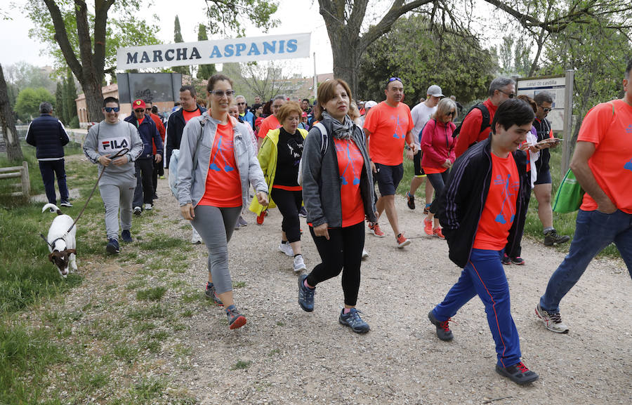 Fotos: Palencia se entrega a la marcha Aspanis