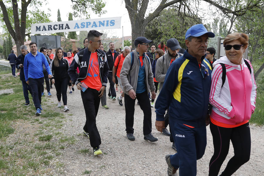 Fotos: Palencia se entrega a la marcha Aspanis