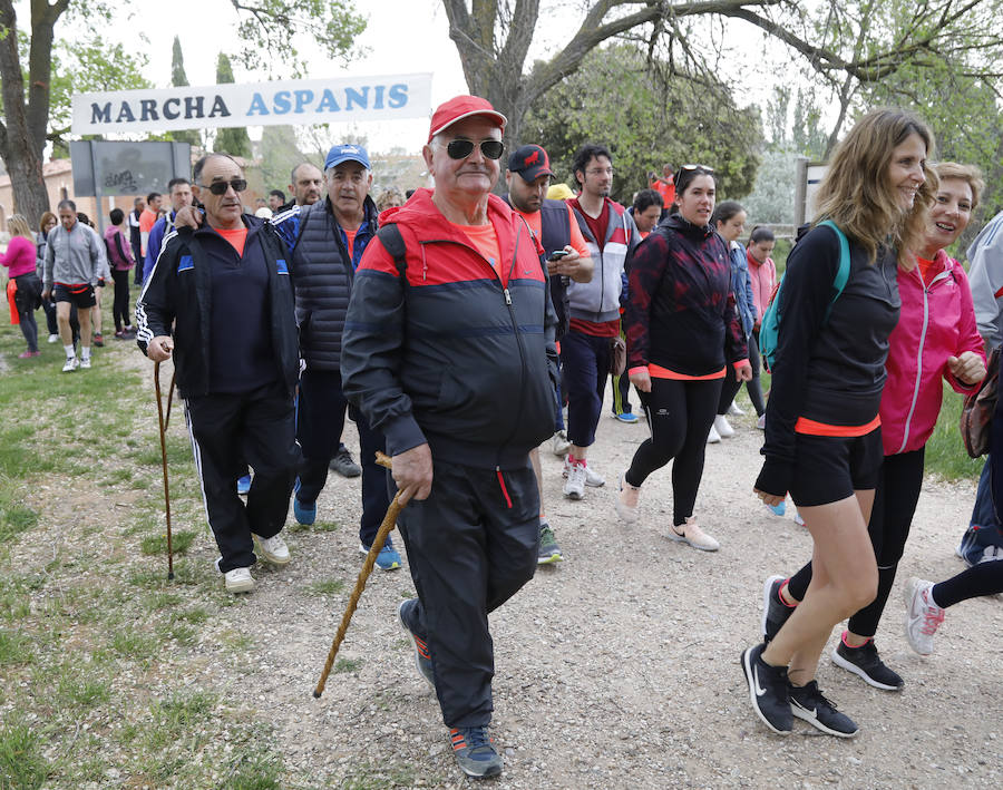 Fotos: Palencia se entrega a la marcha Aspanis