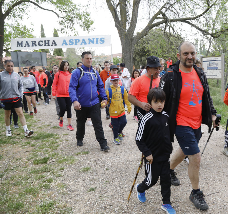 Fotos: Palencia se entrega a la marcha Aspanis