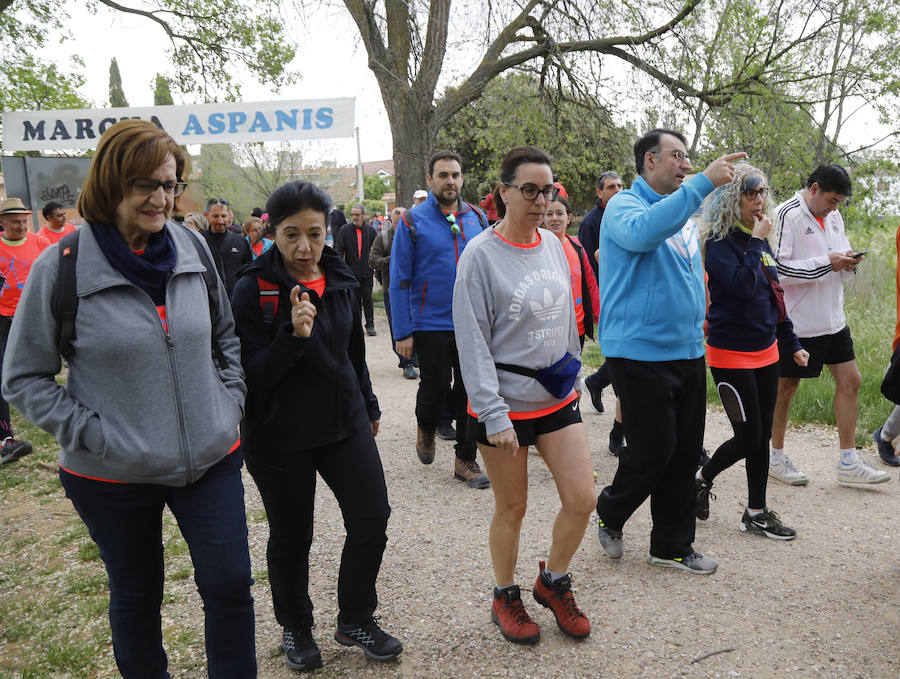 Fotos: Palencia se entrega a la marcha Aspanis