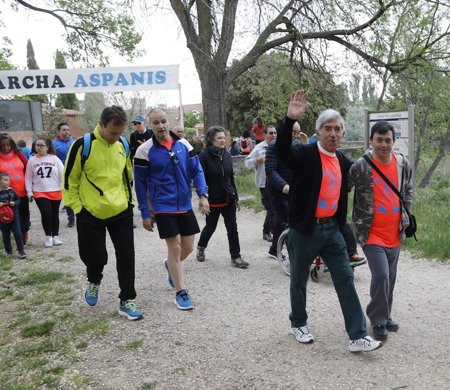 Fotos: Palencia se entrega a la marcha Aspanis