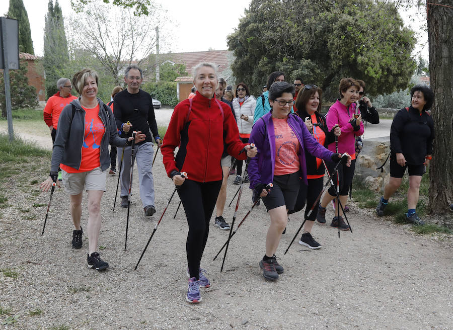 Fotos: Palencia se entrega a la marcha Aspanis