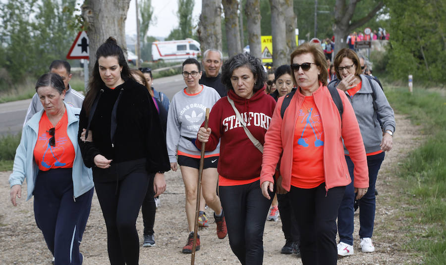 Fotos: Palencia se entrega a la marcha Aspanis