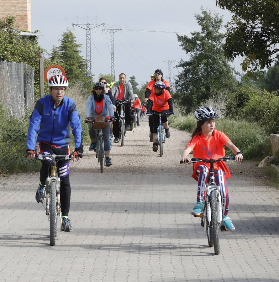 Fotos: Palencia se entrega a la marcha Aspanis