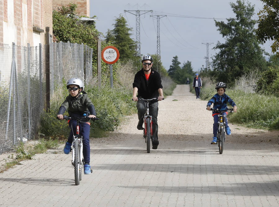 Fotos: Palencia se entrega a la marcha Aspanis