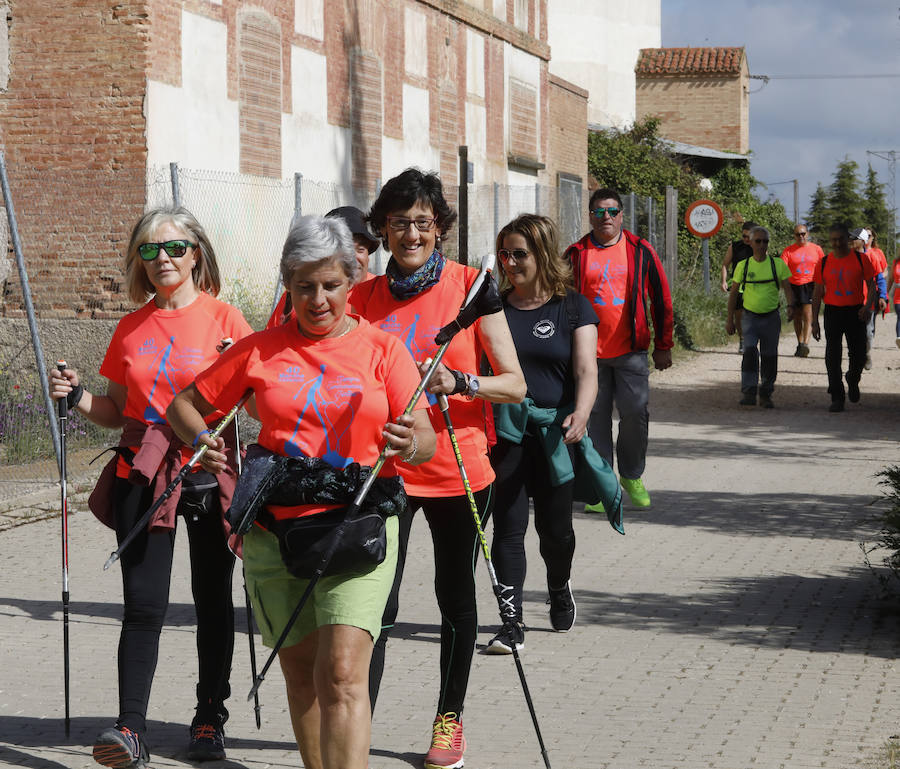 Fotos: Palencia se entrega a la marcha Aspanis
