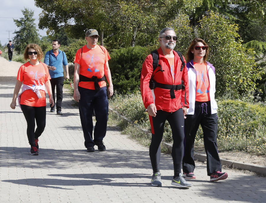 Fotos: Palencia se entrega a la marcha Aspanis