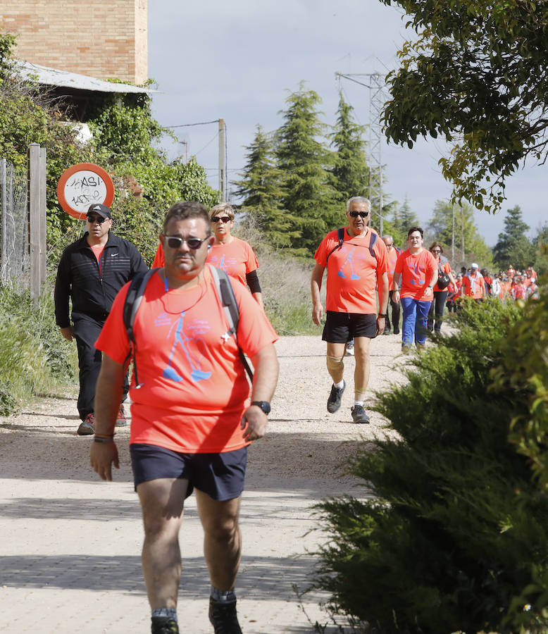 Fotos: Palencia se entrega a la marcha Aspanis