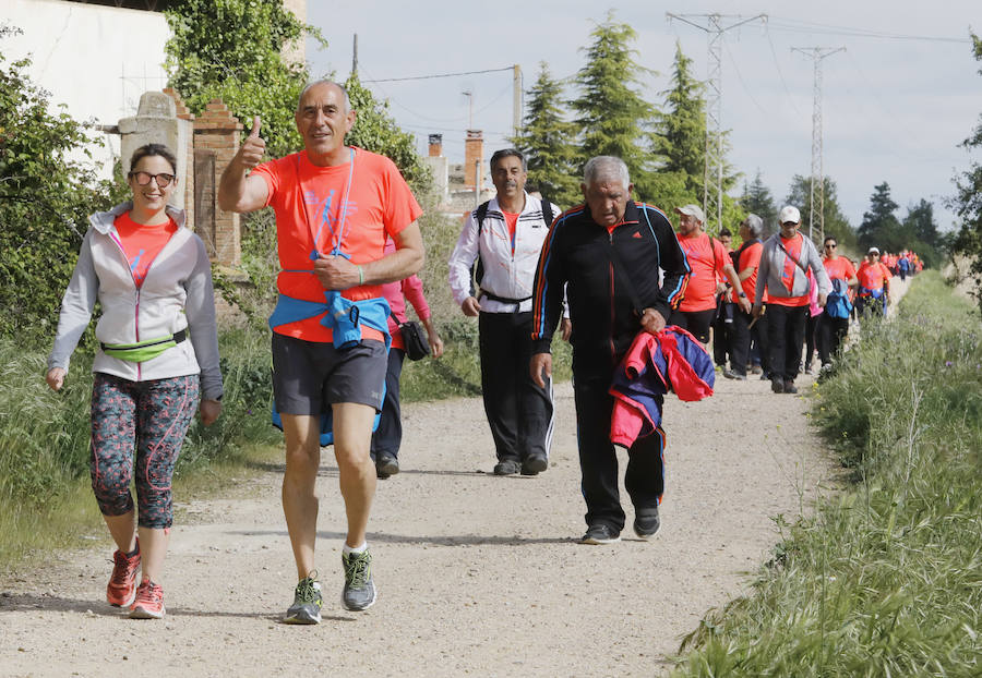 Fotos: Palencia se entrega a la marcha Aspanis