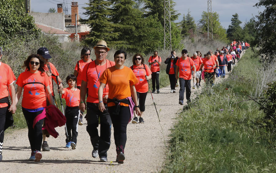 Fotos: Palencia se entrega a la marcha Aspanis