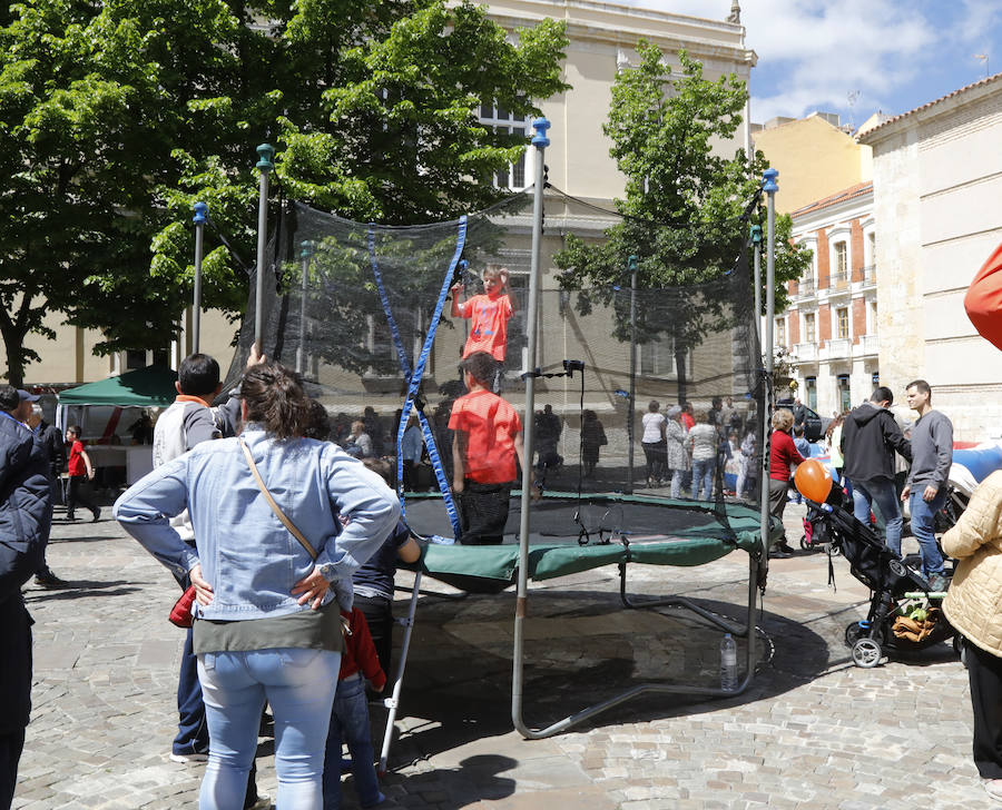 Fotos: Palencia se entrega a la marcha Aspanis