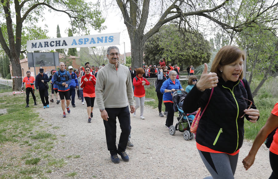 Participantes, en el entorno de la salida, en la Dársena del Canal. 