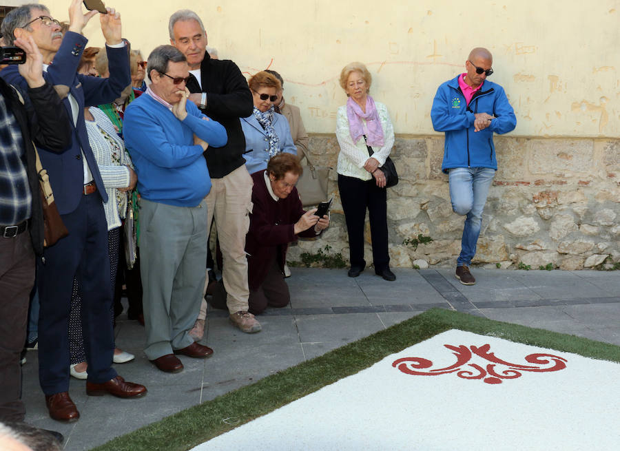 Fotos: Ofrenda floral a San Pedro Regalado, patrón de Valladolid