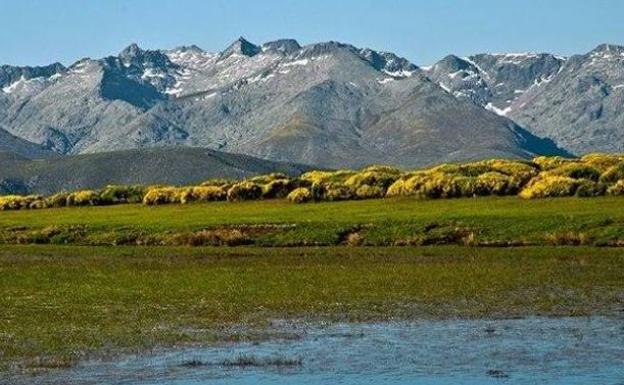 Sierra de Gredos, donde se aprecia la floración del piorno.