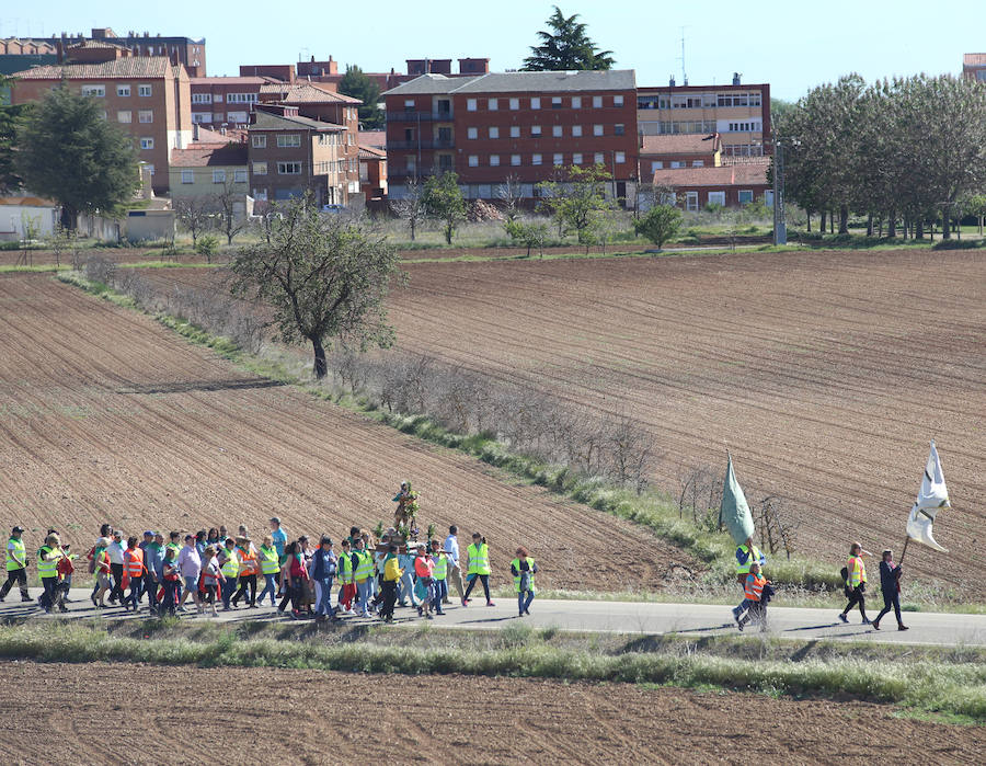 Fotos: San Isidro viaja en tren en la romería de Dueñas