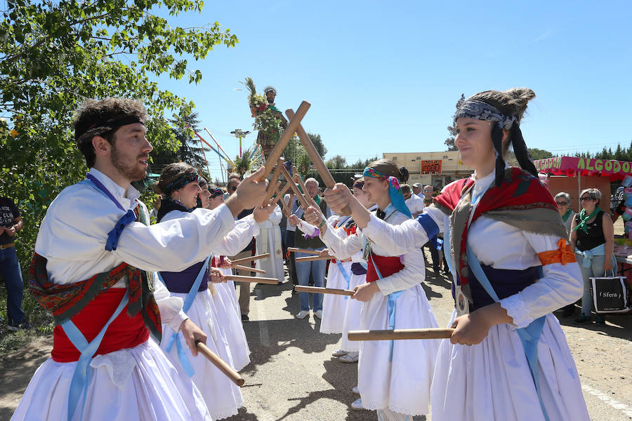 Fotos: San Isidro viaja en tren en la romería de Dueñas