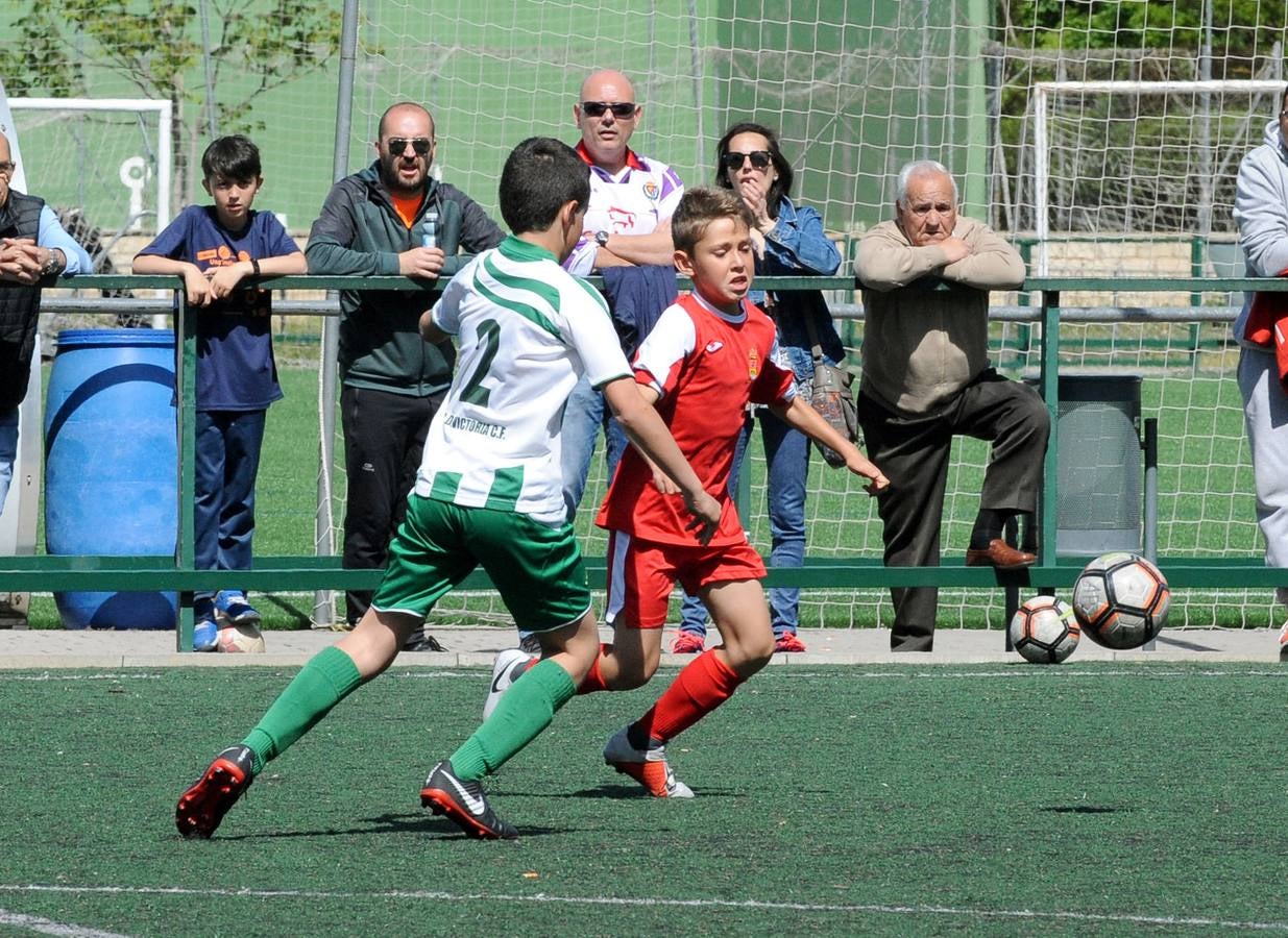 Fotos: Deporte Base del 11 y 12 de mayo. Valladolid