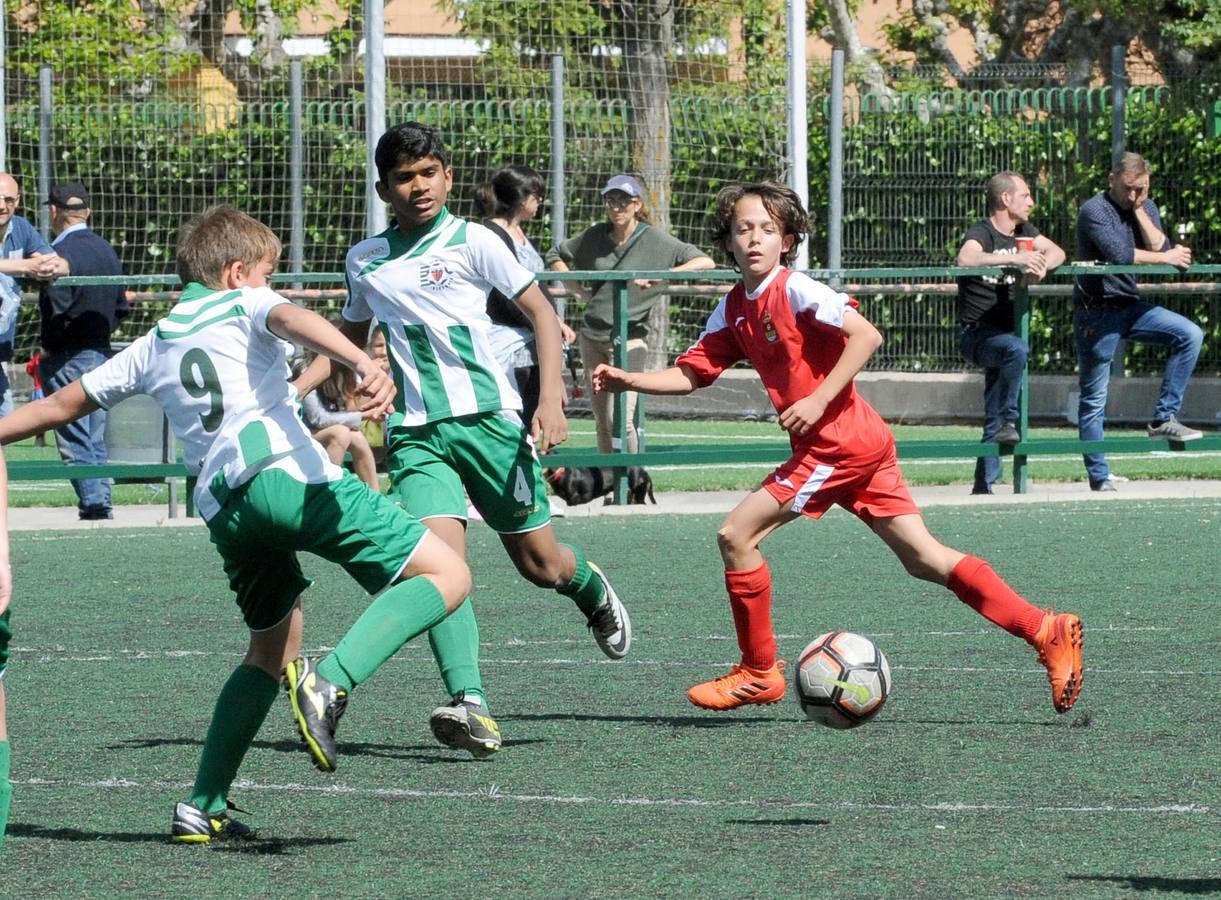 Fotos: Deporte Base del 11 y 12 de mayo. Valladolid