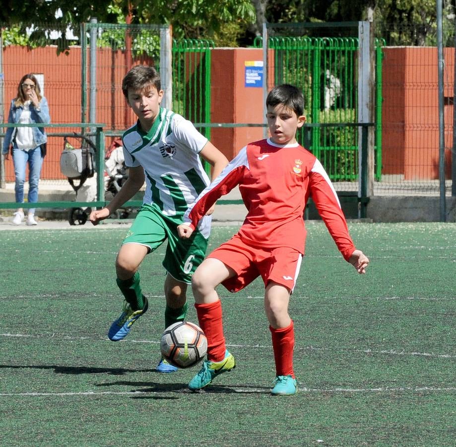 Fotos: Deporte Base del 11 y 12 de mayo. Valladolid