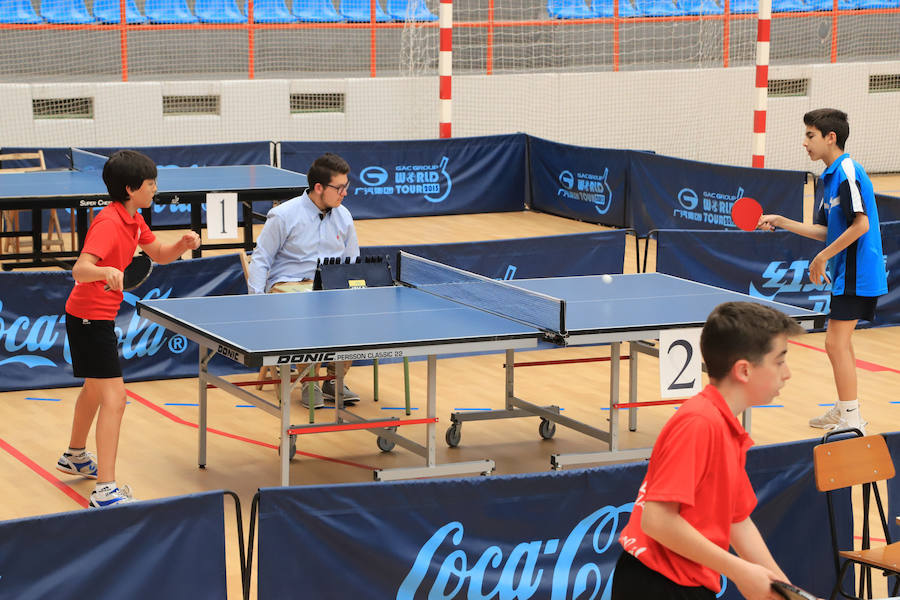 Salamanca vivió ayer una jornada netamente deportiva, porque además del Día del MIniBasket hubo pleno del Deporte Escolar con numerosas disciplinas, desde ajedrez a atletismo. 