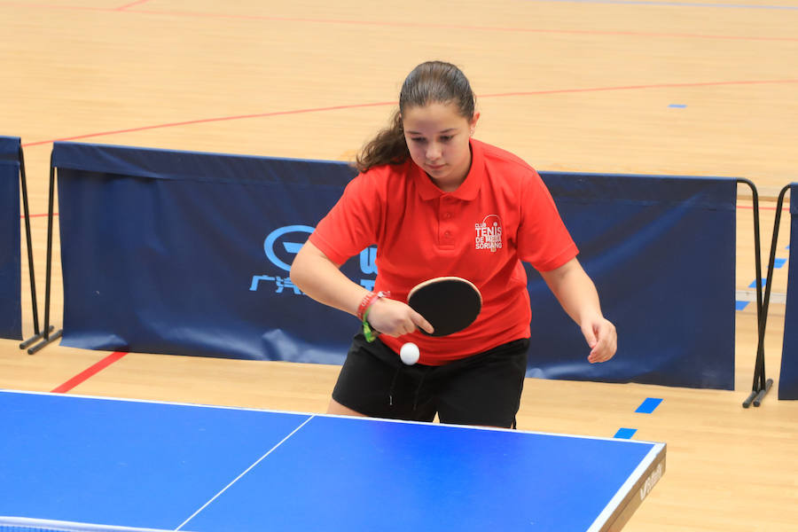 Salamanca vivió ayer una jornada netamente deportiva, porque además del Día del MIniBasket hubo pleno del Deporte Escolar con numerosas disciplinas, desde ajedrez a atletismo. 