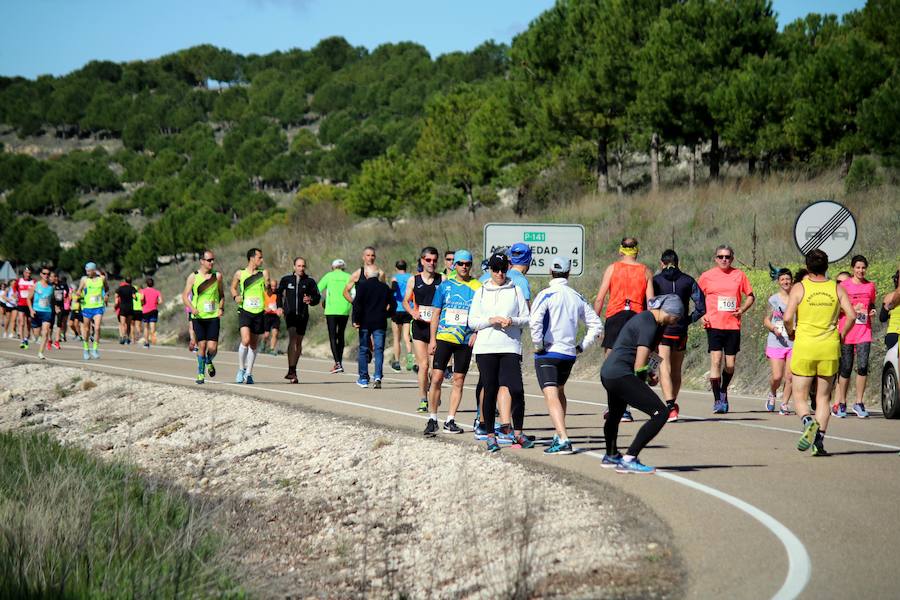 Fotos: El Cerrato vibra con su Media Maratón