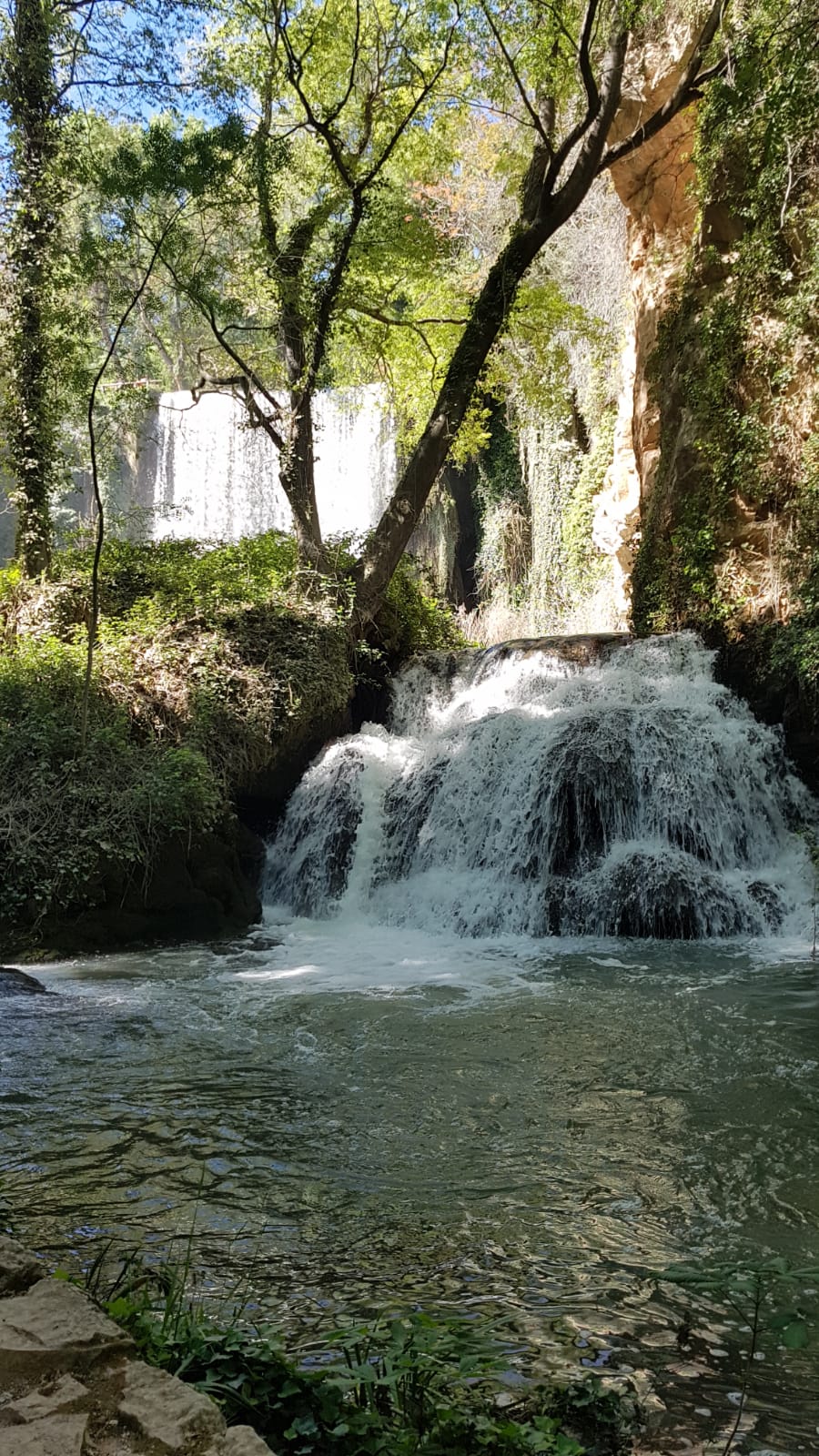 El Monasterio de Piedra atesora un monasterio cisterciense del siglo XIII y un espectacular jJardín histórico del siglo XIX, con innumerables cascadas.