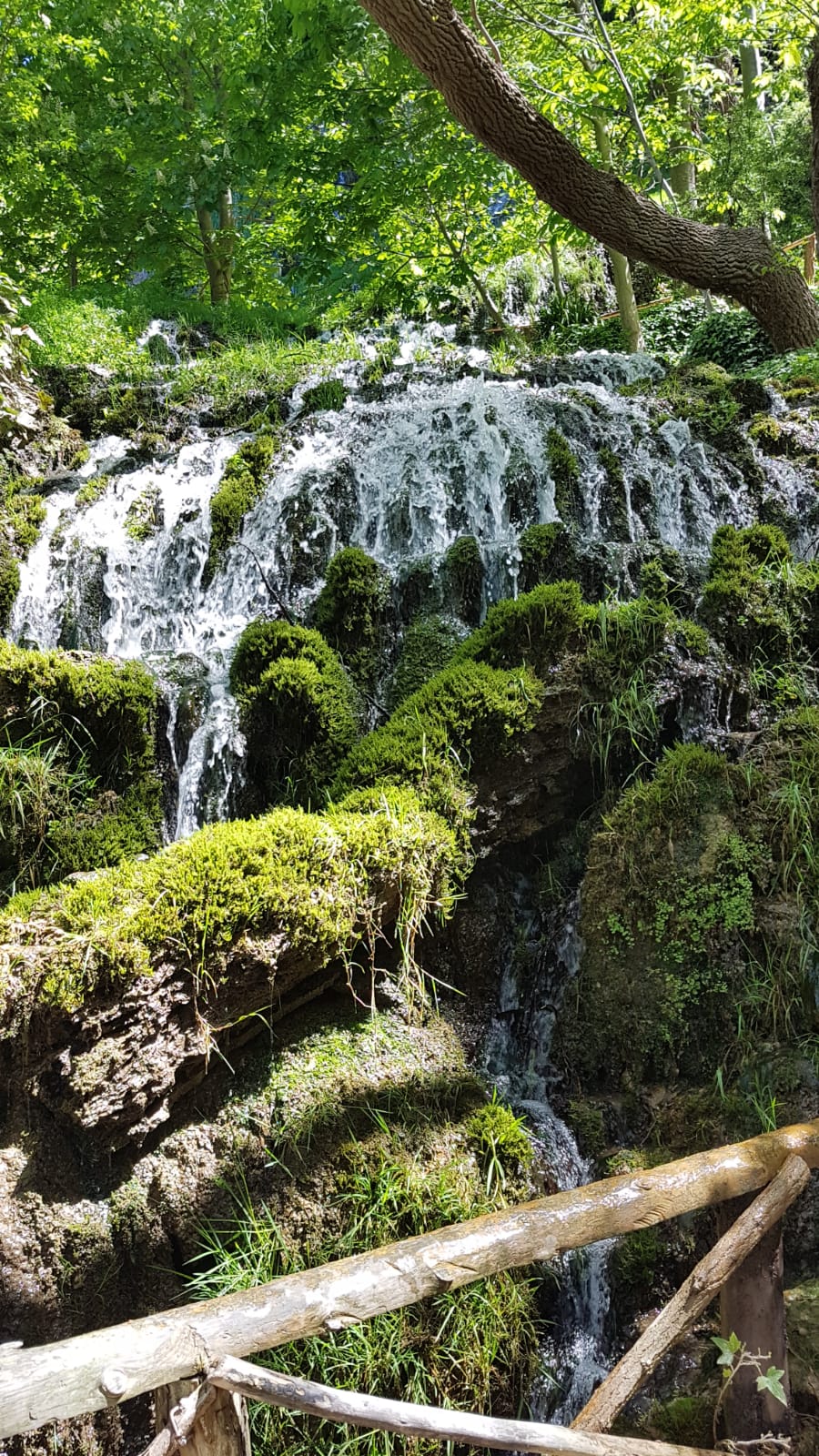 El Monasterio de Piedra atesora un monasterio cisterciense del siglo XIII y un espectacular jJardín histórico del siglo XIX, con innumerables cascadas.