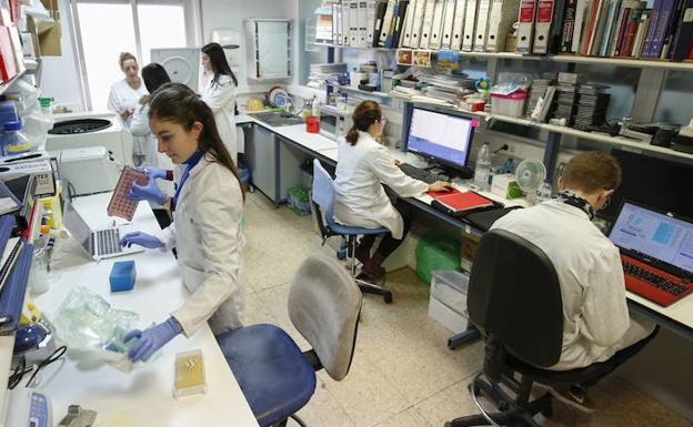 Varios científicos trabajan en un laboratorio de investigación contra el cáncer. 