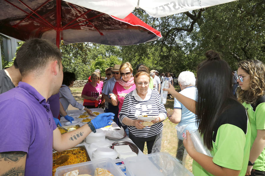 Fotos: Las aulas de mayores de Palencia clausuran el curso con una comida popular