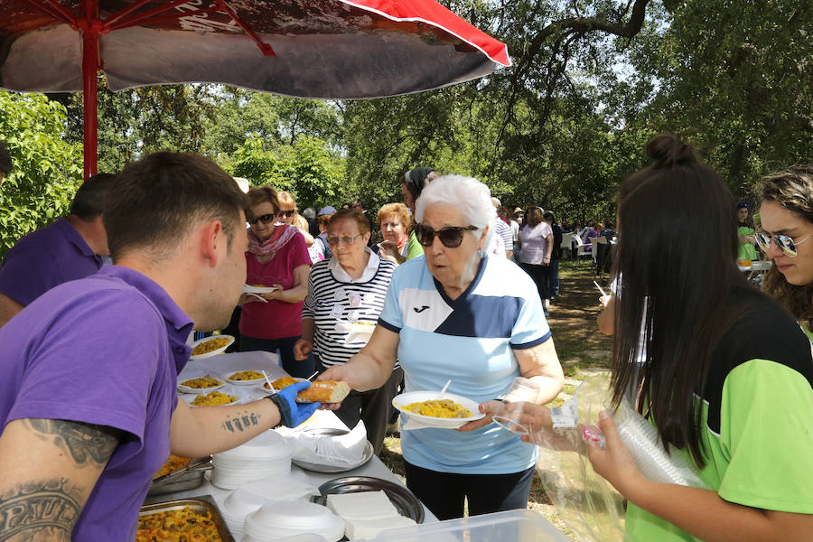 Fotos: Las aulas de mayores de Palencia clausuran el curso con una comida popular