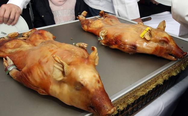 Dos cochinillos en Segovia. 