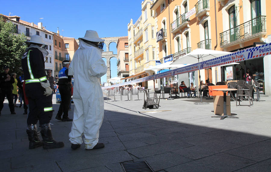 Los bomberos esperan la llegada del apicultor para llevarse la caja con abejas. 