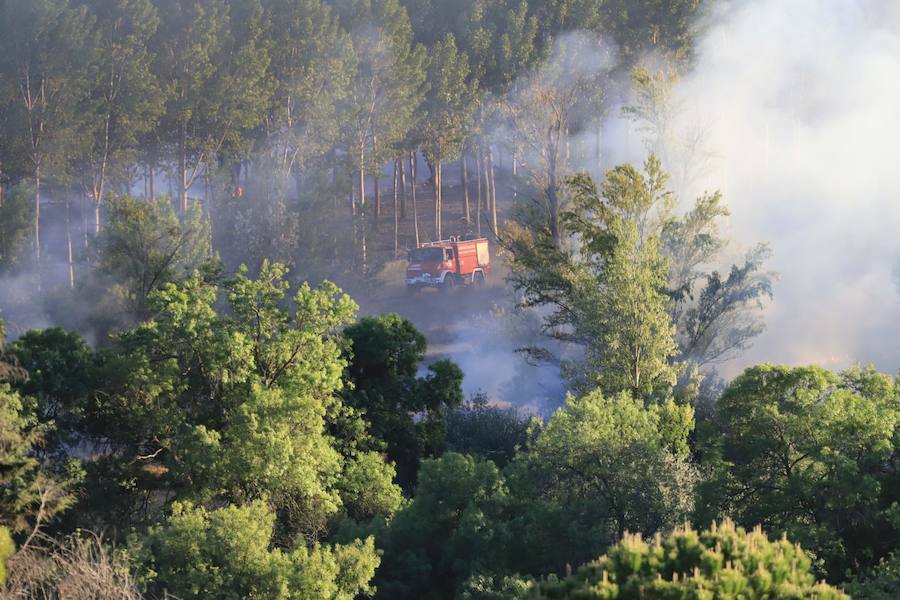Fotos: Incendio junto a la piscifactoría de Cabrerizos, en Salamanca