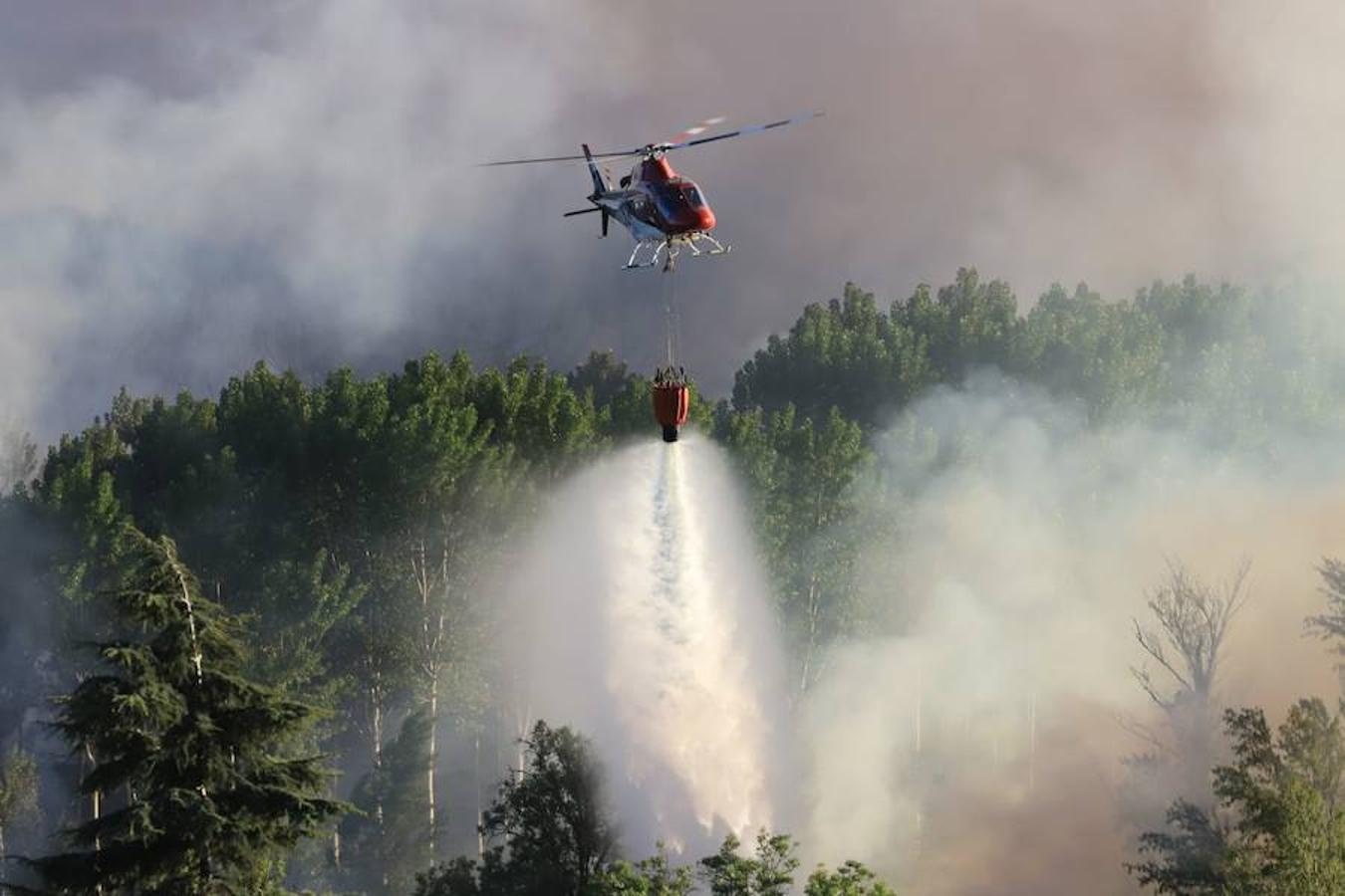 Fotos: Incendio junto a la piscifactoría de Cabrerizos, en Salamanca