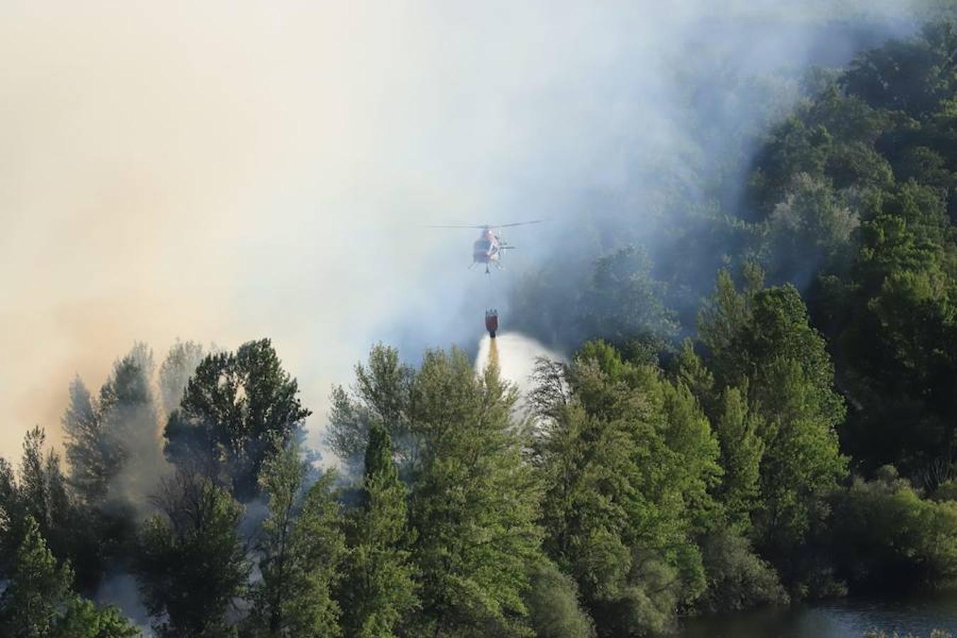 Fotos: Incendio junto a la piscifactoría de Cabrerizos, en Salamanca