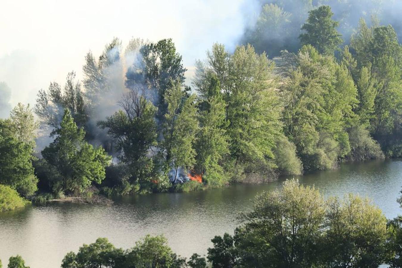 Fotos: Incendio junto a la piscifactoría de Cabrerizos, en Salamanca