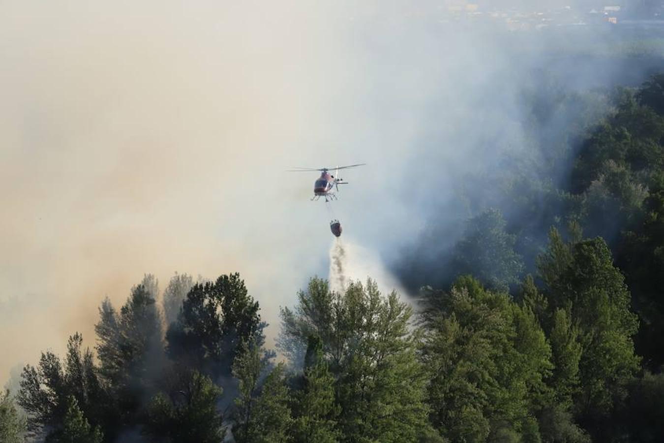 Fotos: Incendio junto a la piscifactoría de Cabrerizos, en Salamanca
