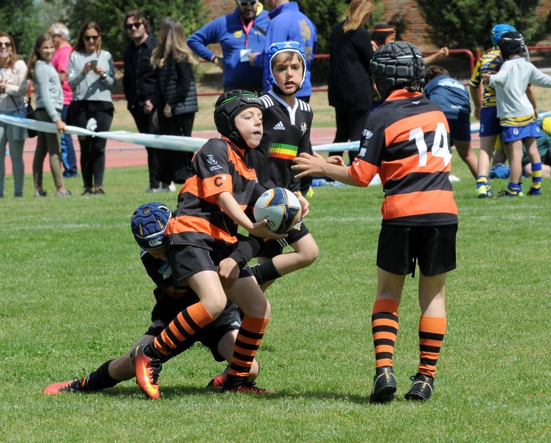 Fotos: Deporte Base del 25 y 26 de Mayo. Valladolid (2/3)