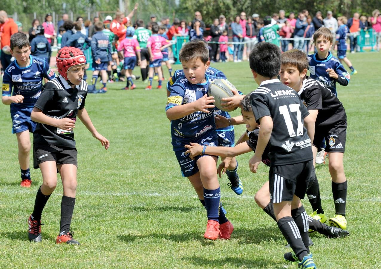 Fotos: Deporte Base del 25 y 26 de Mayo. Valladolid (2/3)