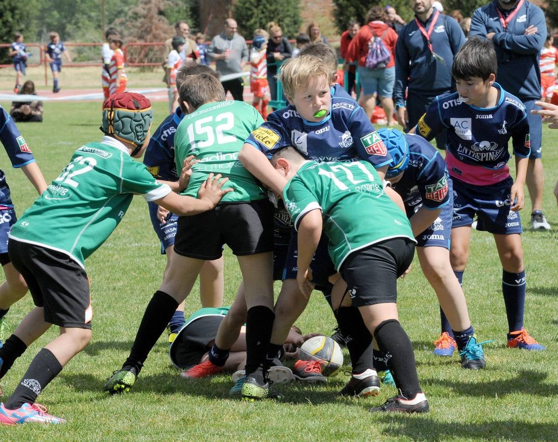 Fotos: Deporte Base del 25 y 26 de Mayo. Valladolid (3/3)
