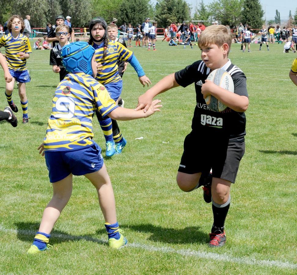 Fotos: Deporte Base del 25 y 26 de Mayo. Valladolid (3/3)