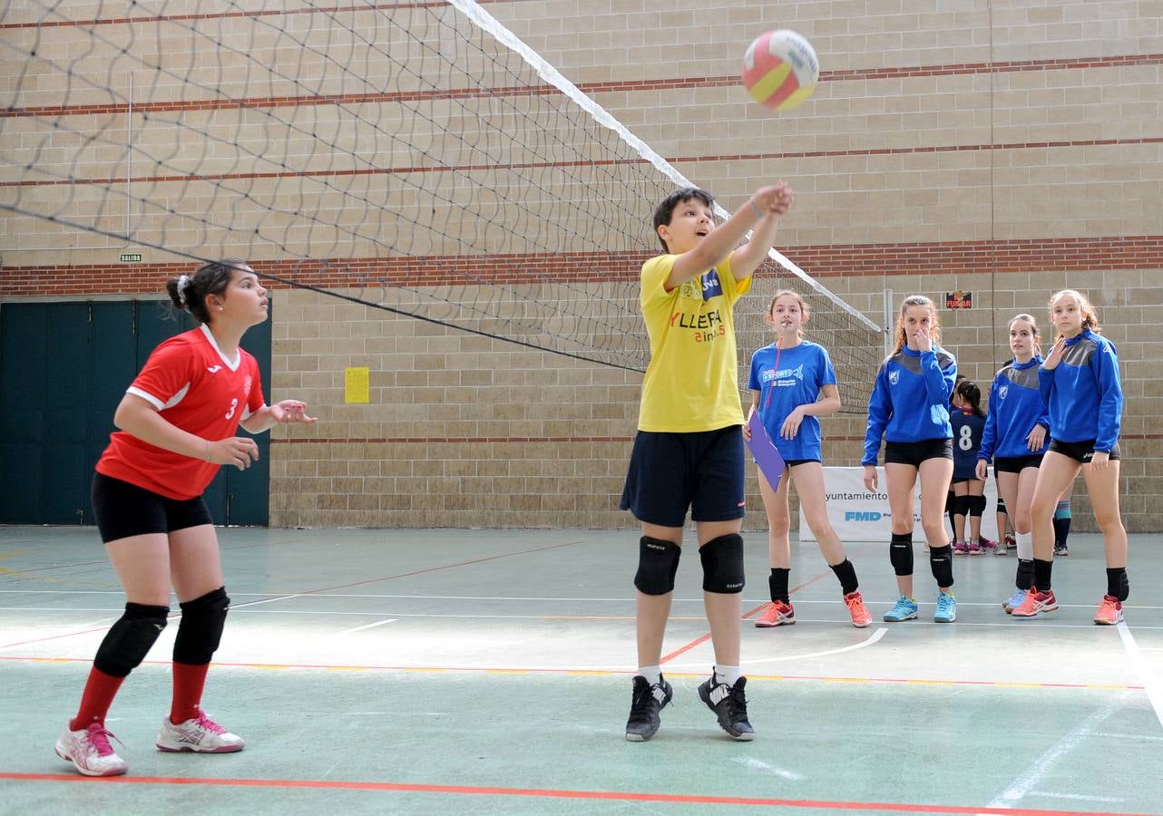 Fotos: Deporte Base del 25 y 26 de Mayo. Valladolid (3/3)