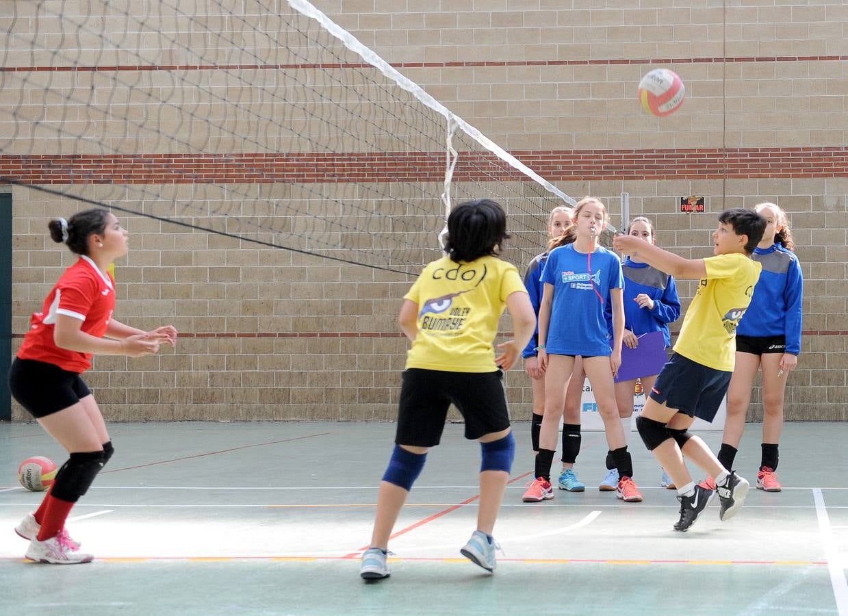 Fotos: Deporte Base del 25 y 26 de Mayo. Valladolid (3/3)