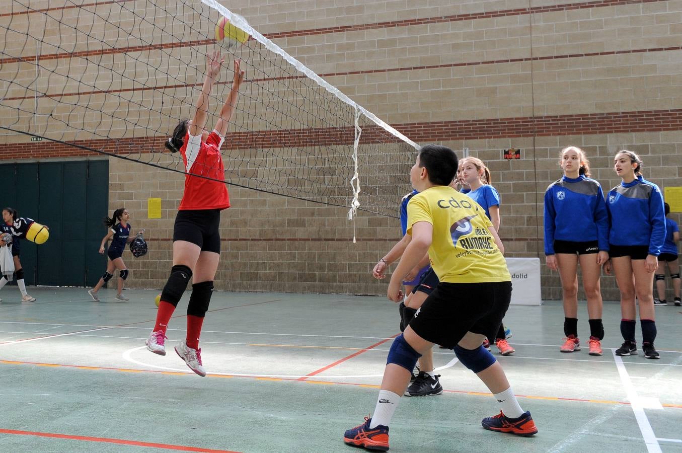 Fotos: Deporte Base del 25 y 26 de Mayo. Valladolid (3/3)