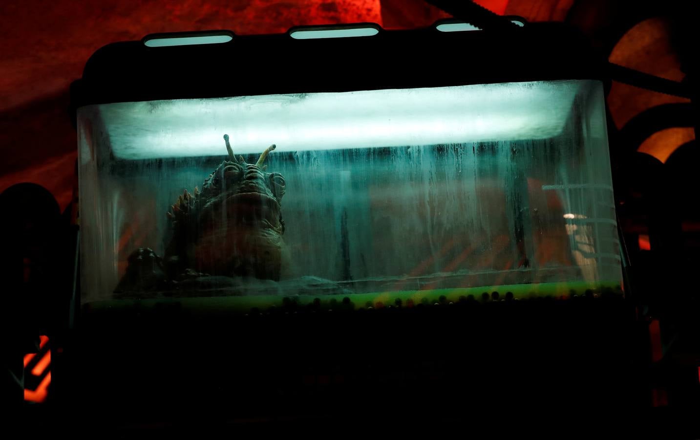 Todos sus empleados están carazterizados como si fueran personajes de las películas| El visitante podrá utilizar una aplicación para interactuar con ellos en idiomas galácticos| La principal atracción será volar en el 'Halcón Milenario'