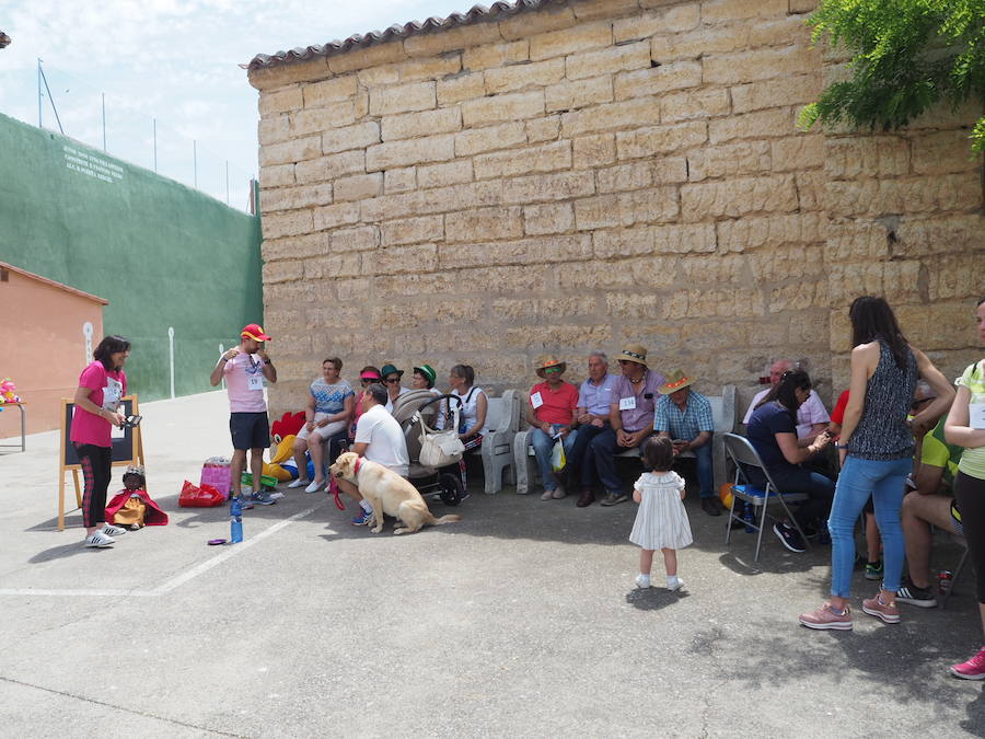 Marcha en Villasexmir