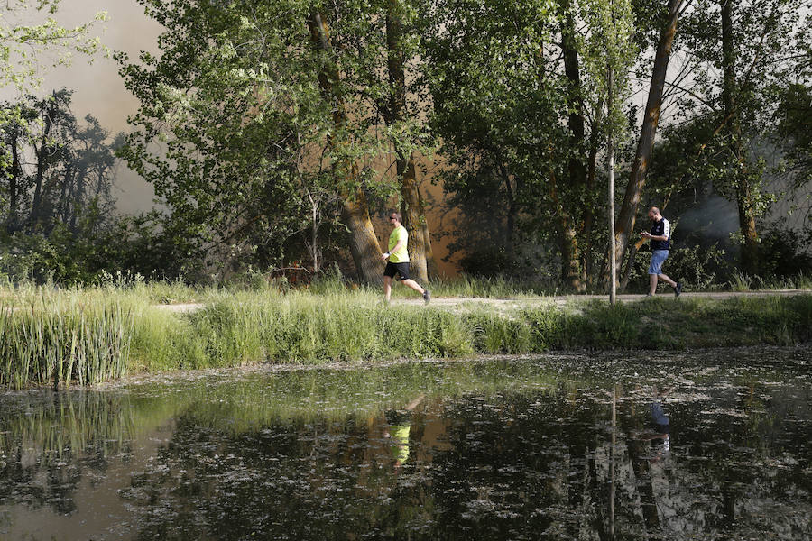 Fotos: Nuevo incendio por pelusas en la darsena del canal