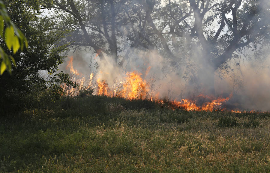 Fotos: Nuevo incendio por pelusas en la darsena del canal